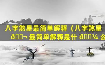 八字煞星最简单解释（八字煞星 🐬 最简单解释是什 🌼 么）